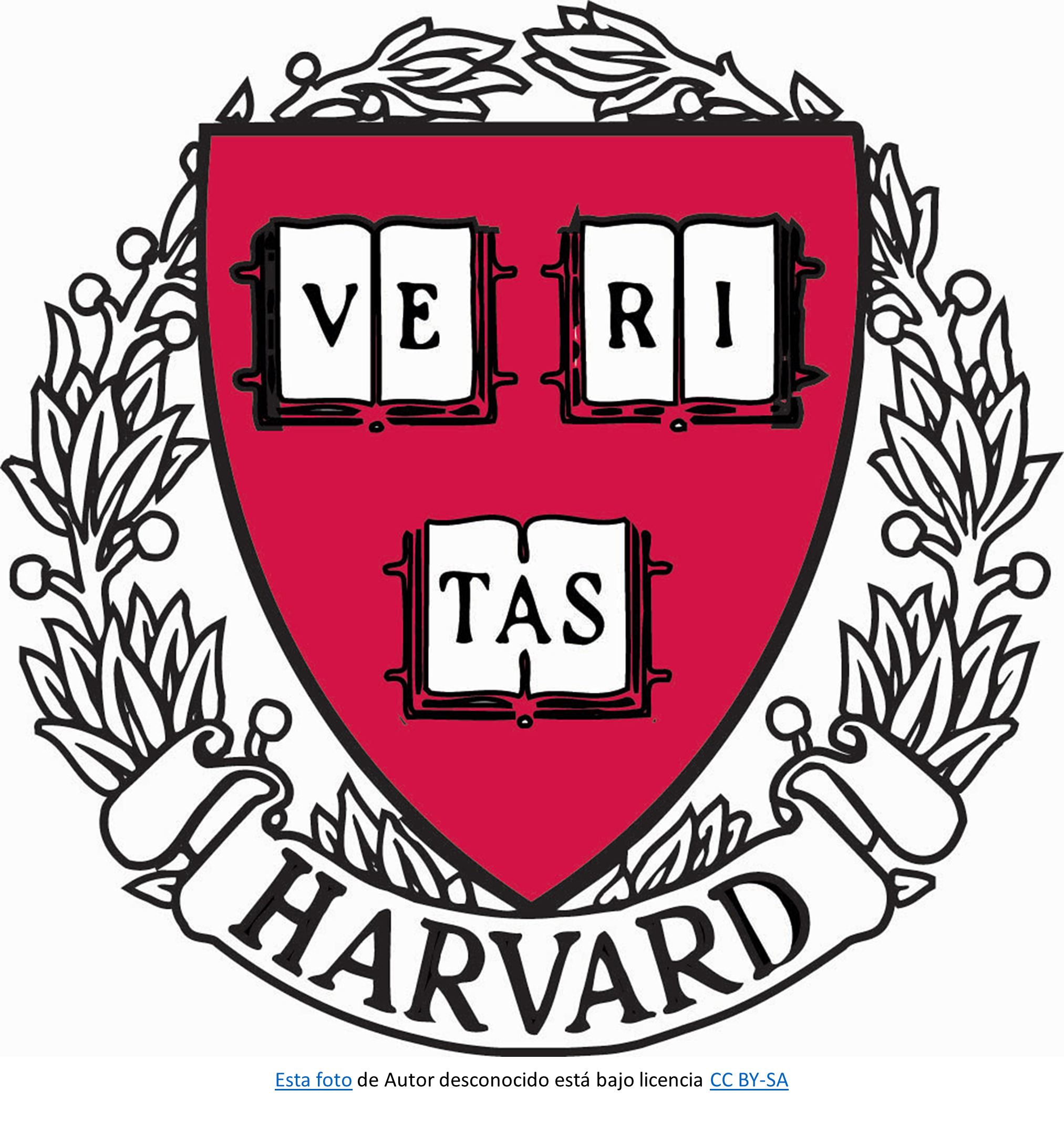 Universidad Harvard