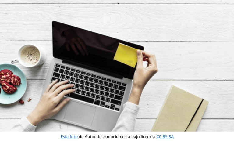 Principios Básicos de Programación